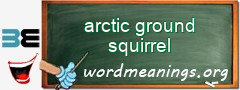 WordMeaning blackboard for arctic ground squirrel